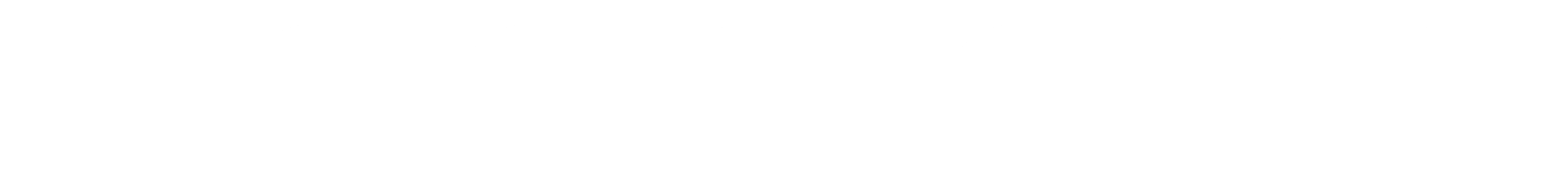 Vision Forge